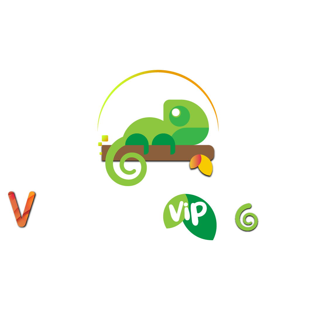 vivenciastours.com